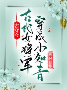 古穿今古代女将军穿成小知青童心岚