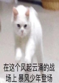 c位从来不让人失望小说